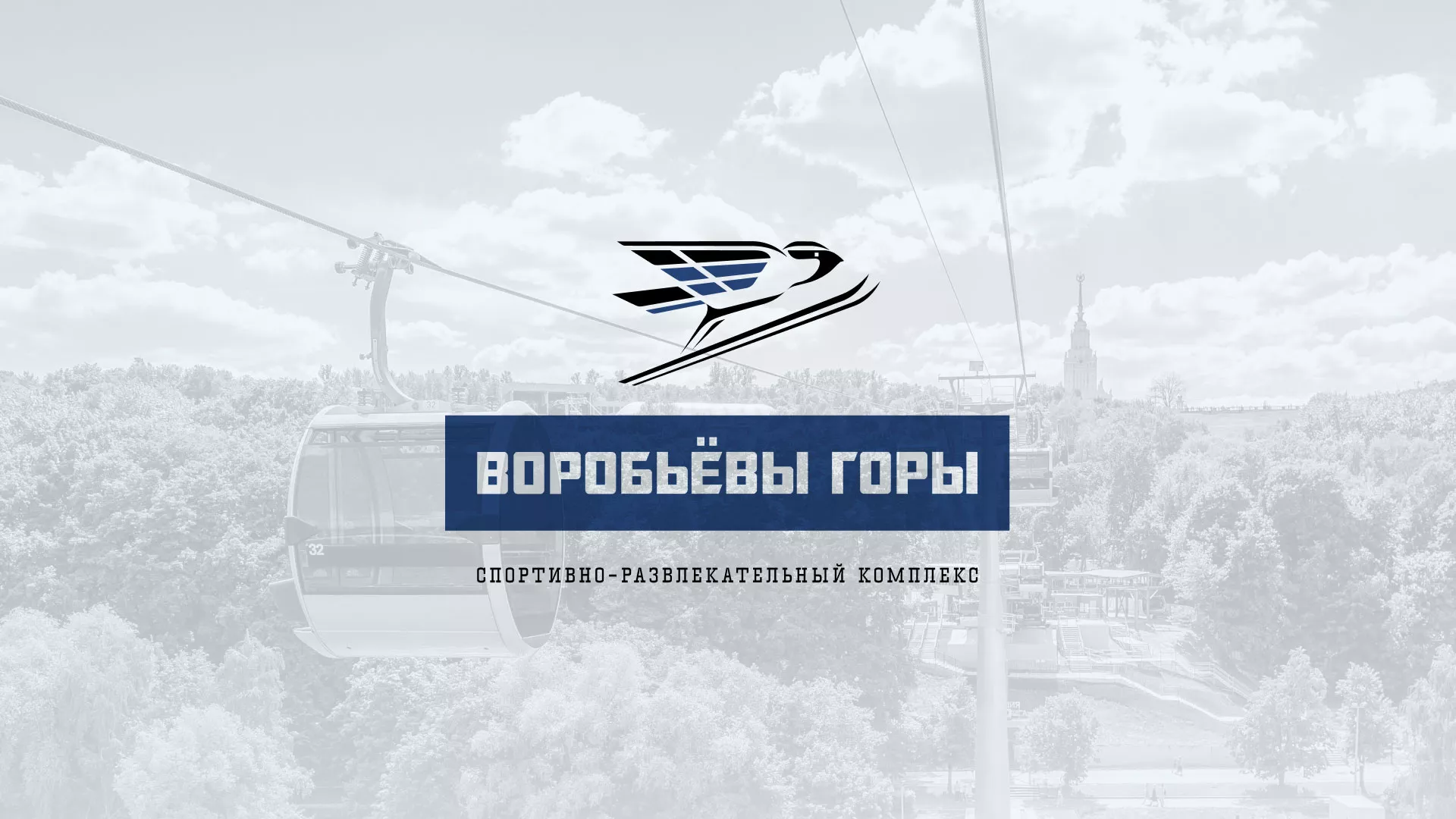 Разработка сайта в Бородино для спортивно-развлекательного комплекса «Воробьёвы горы»